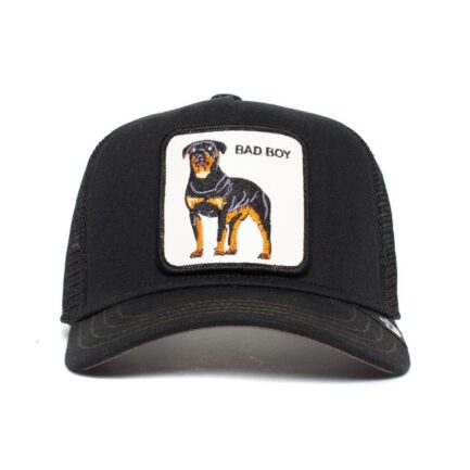 KIDS Naughty Pup Hat Black Goorin Bros.